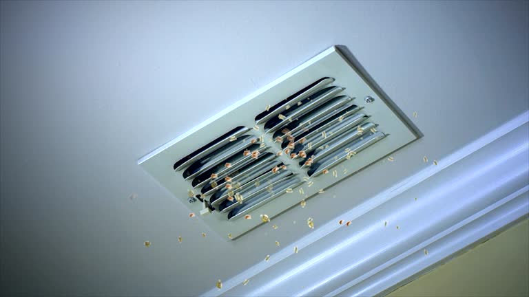 Best Air Vent Cleaning Services  in Woods Creek, WA