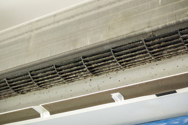 Best Dryer Vent Cleaning Services  in Woods Creek, WA